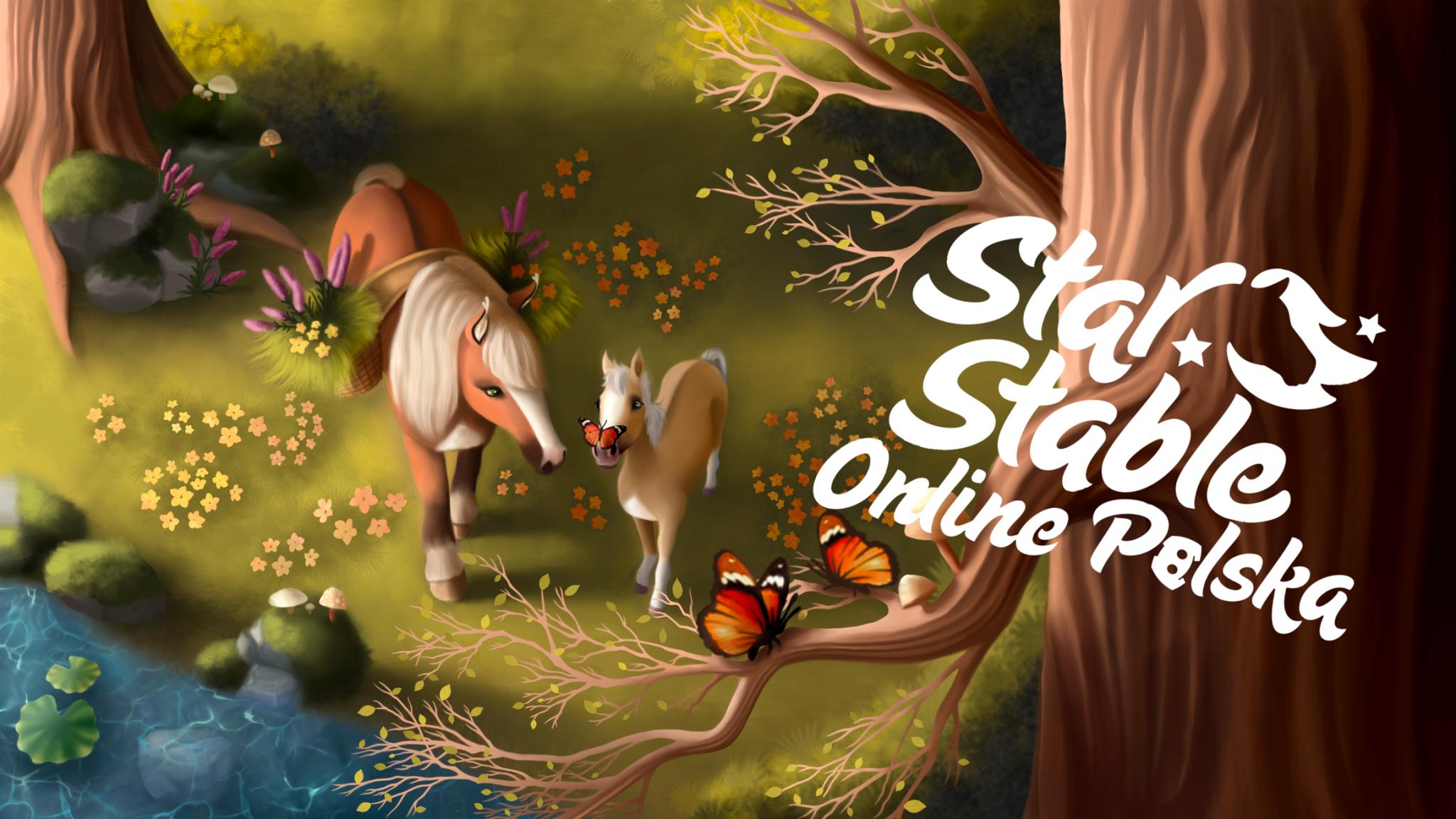 Discovery splash banner for Star Stable Online Polska Discord server