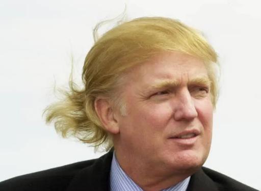 Discovery splash banner for Make America Great Again Discord server
