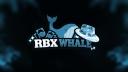Discovery splash banner for RBXWhale Discord server