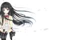 Discovery splash banner for JACKBOYZ™ Discord server
