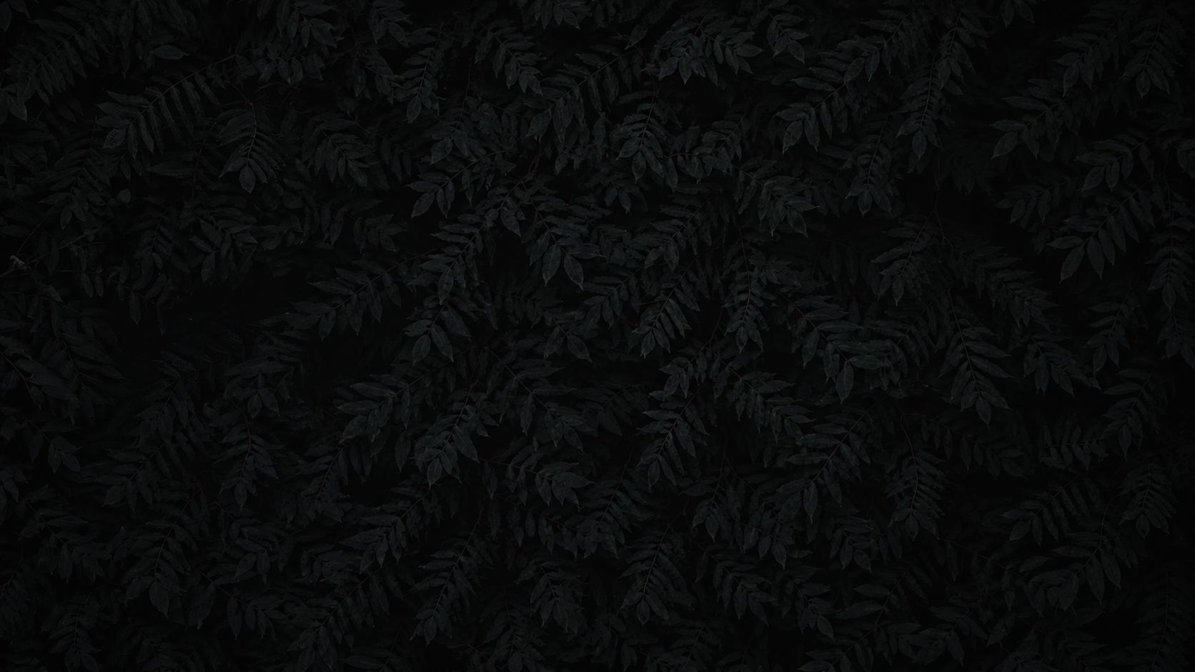 Discovery splash banner for TMH | APKs And Metadatas Discord server