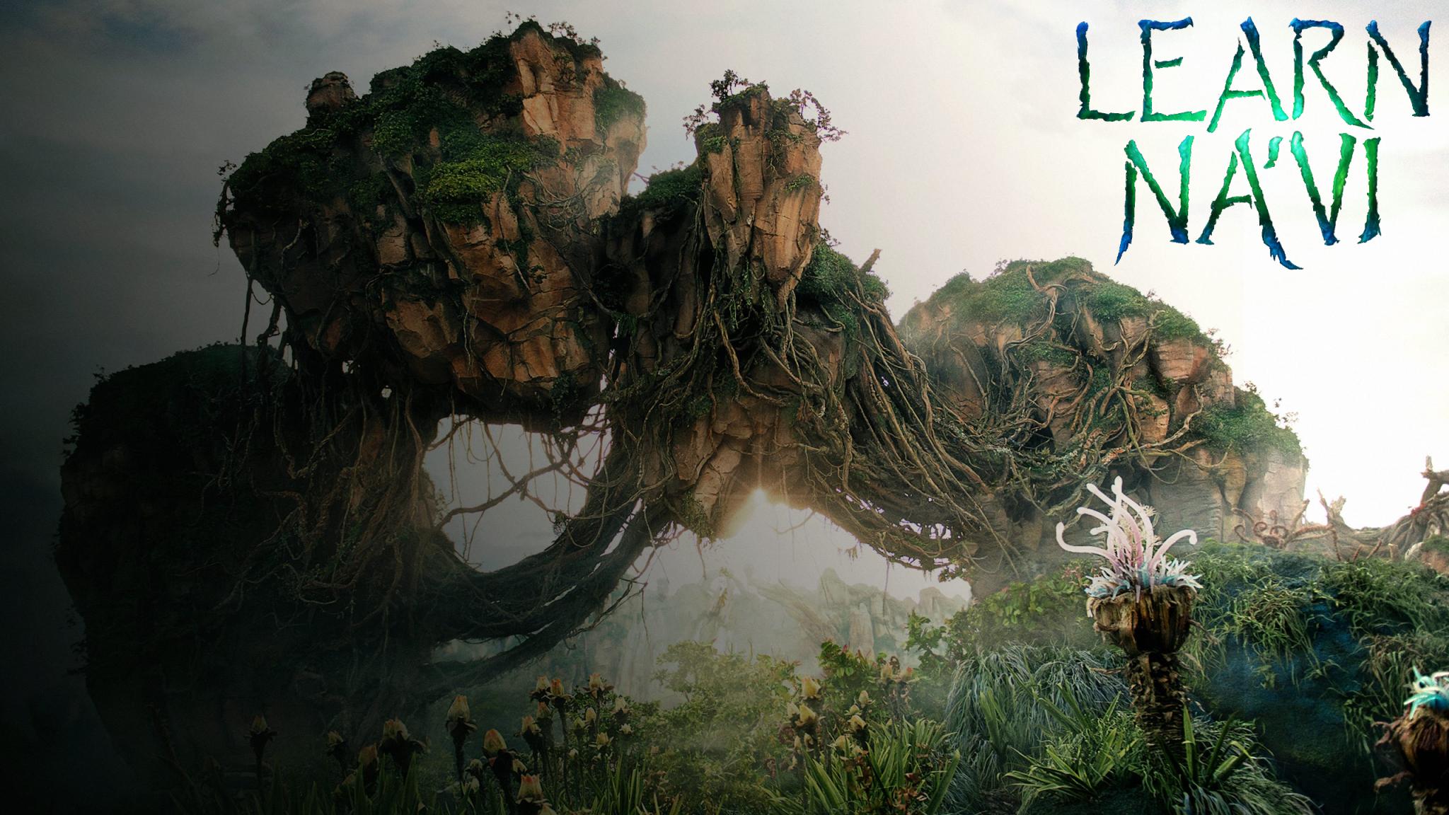 Discovery splash banner for LearnNavi.org Community Discord server