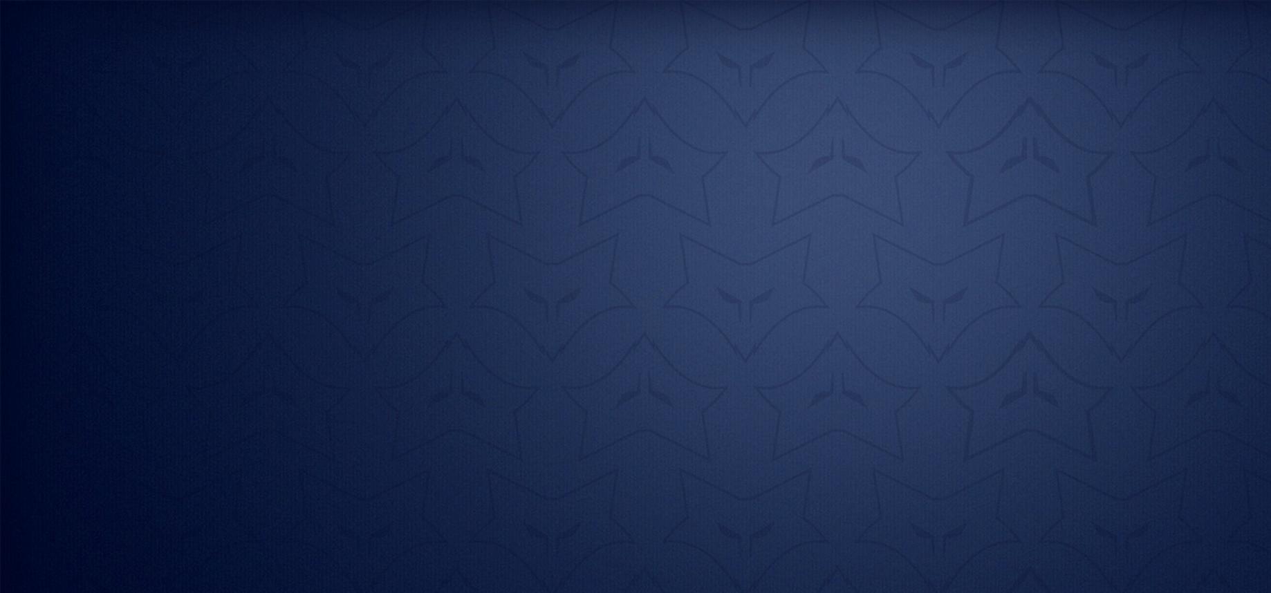 Discovery splash banner for ColdFox Discord server