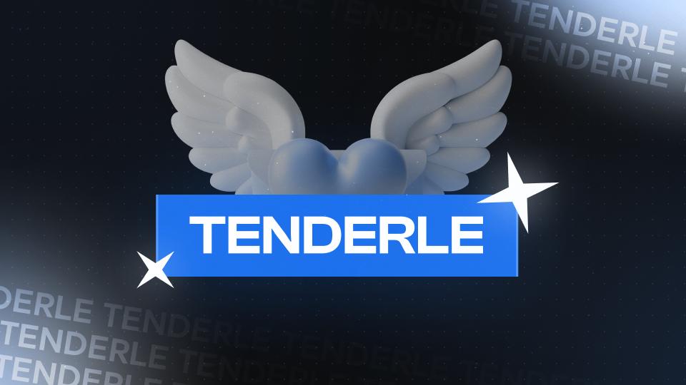 Discovery splash banner for TENDERLY Discord server