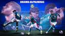 Discovery splash banner for 🇧🇷 SE Palmeiras 🇧🇷 Discord server