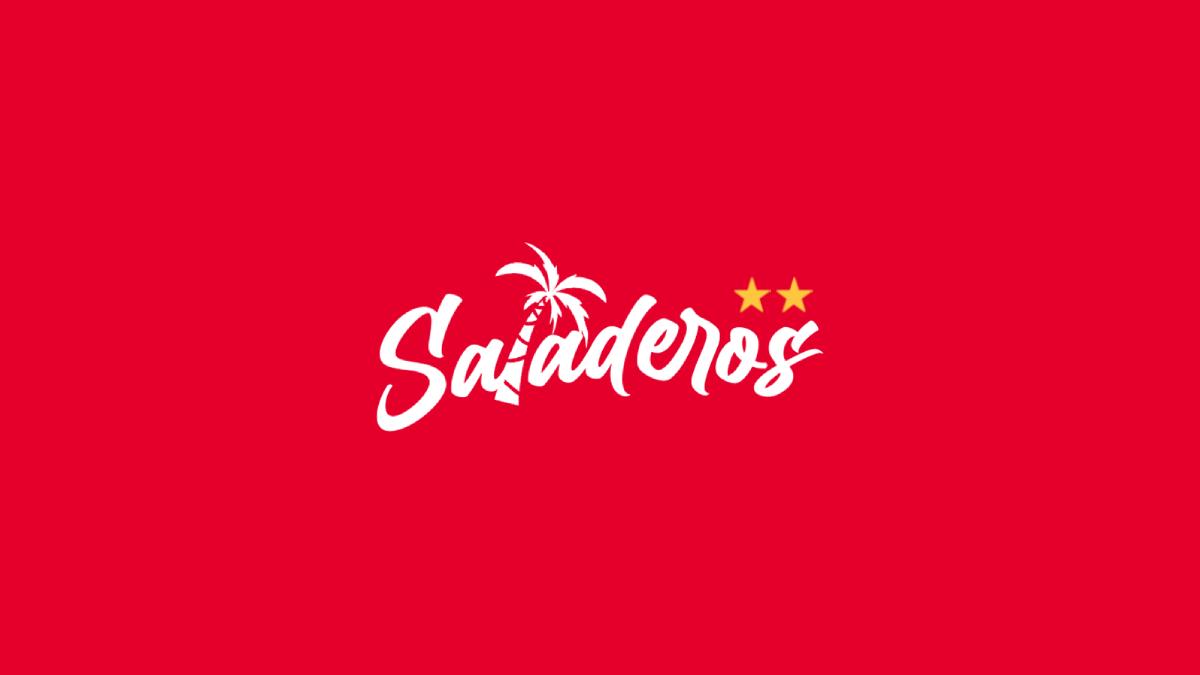 Discovery splash banner for ⭐⭐ ‹﹐Saladeros ²⁰²⁶ Discord server