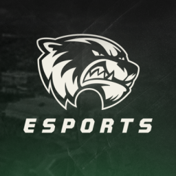 Discovery icon for Utah Valley Esports Discord server